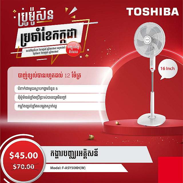 Toshiba Electric Fan 16 inch